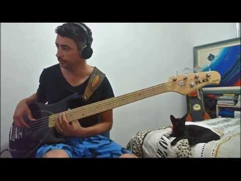 Rock with you bass cover sterling ray 5 string