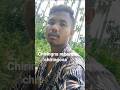 kamkaenga chiringna sikana chiringna rebara ia chiringona