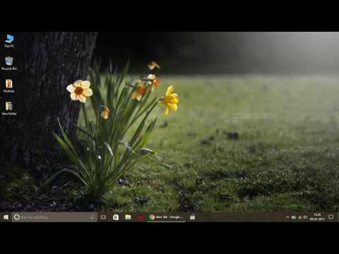 | How to make a Form/Button Border less in VB.Net 2012 |