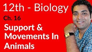 Fsc Biology Book 2 - Support & Movements in Animals - Ch 16 - 12th Class Biology