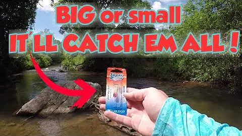 TROUT Fishing a SUPER DUPER | Secret TECHNIQUE For MORE and BIGGER Fish!