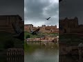 #Ajmer fort # Rajasthan #viral ##trendingsong #cute #reels #offical Prachi vlogs