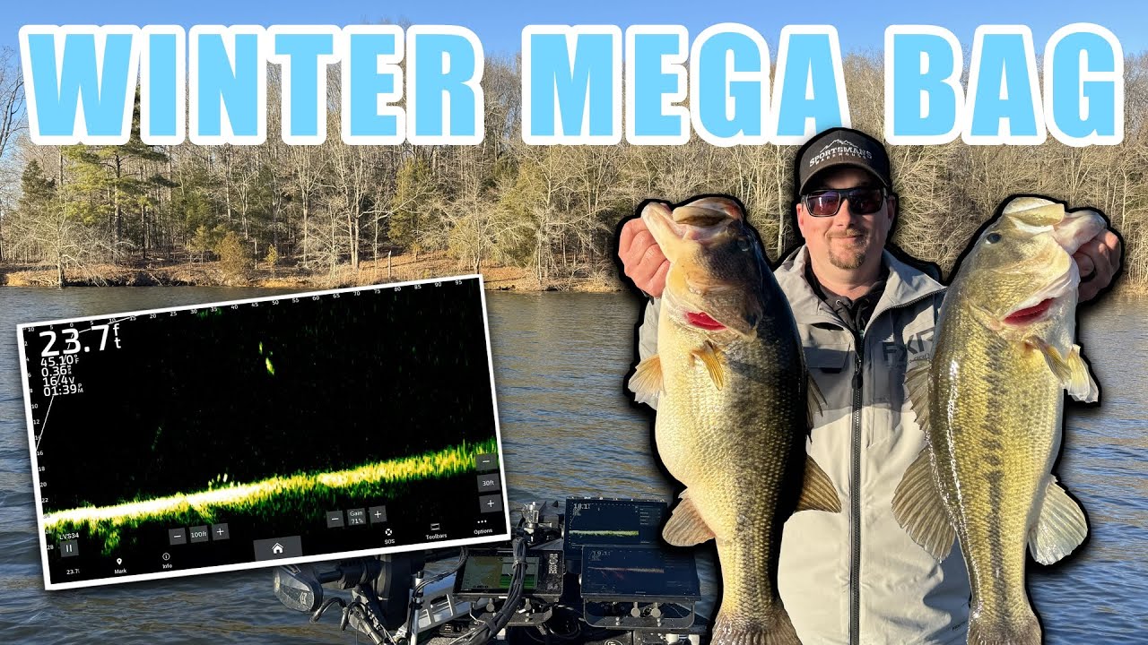 Ловим гигантских зимних окуней с помощью LIVESCOPE!
