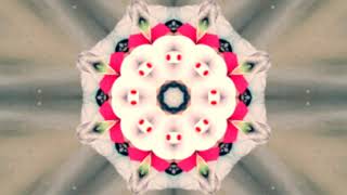 Big Gigantic & Griz - Good Times Roll (kaleidoscope video)