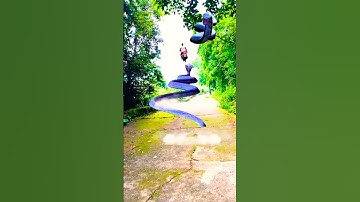 Naag nagin ka attack | #snake #nagin #shorts #shortsvideo