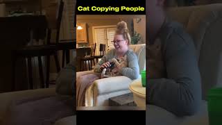 cats copying people 😱 #cat #funny #catvideos