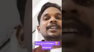 Goa mushroom company tour #youtubeshorts