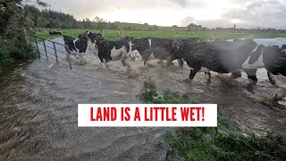 think its time to start housing the cattle...