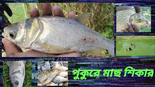 pukur a mach dhorlam .. village fishing