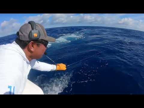 2022 Bermuda Billfish Blast