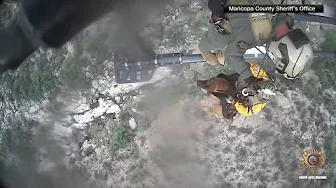 Dog airlifted to safety after falling down Arizona canyon: VIDEO