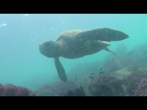 Galapagos Islands 2017