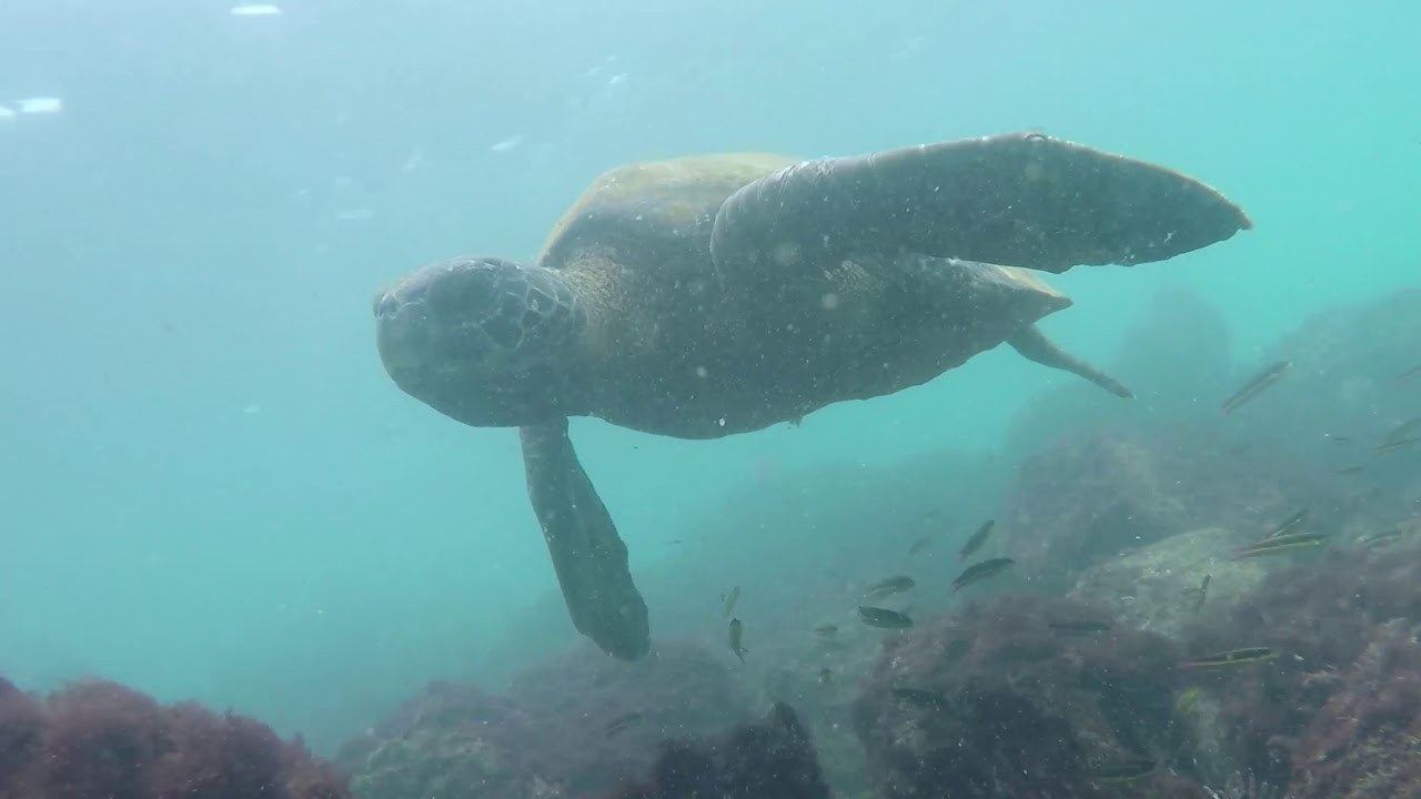Galapagos Island Hopping - Rebecca Adventure Travel