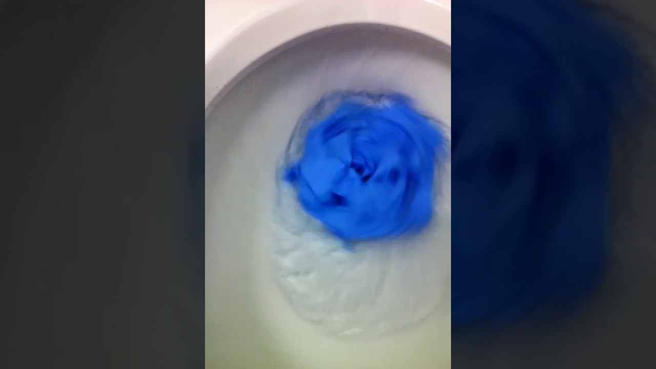 Flushing gloves down the toilet YouTube