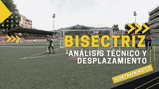 UBICACIÓN DEL ARQUERO BISECTRIZ: ANÁLISIS Y EJECUCIÓN DE DESPLAZAMIENTO