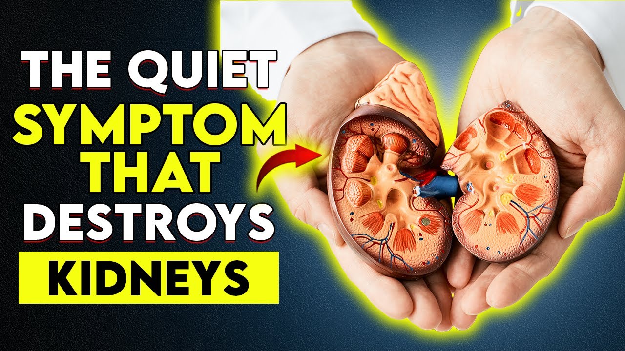 5 Powerful Herbal Drinks for Seniors With Kidney Disease (Backed by Science)