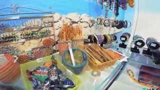 Somalia &amp; Djibouti Expo Milano Italy 2015 HD