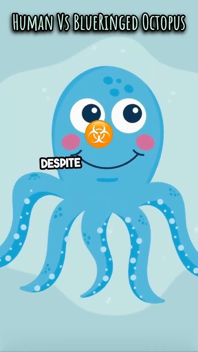 Can A Human Beat A Blue Ringed Octopus shorts science facts YouTube can-a-human-beat-a-blue-ringed-octopus-shorts-science-facts-youtube