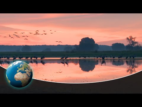 Video: Elbe çayı kruiz gəmiləri – Vikinq Beyla, Vikinq Astrild