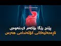 پێنج رێگا بۆ كه م كردنه وه ی ناڕه حه تییه كانی كۆئه ندامی هه رس