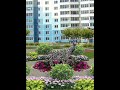 СОСЕДИ КЛАССНО УКРАСИЛИ ПРИДОМОВУЮ ТЕРРИТОРИЮ в многоквартирных домах