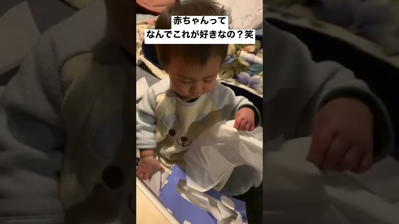 赤ちゃんをちょっと目を離すとこうなります Shorts Youtube
