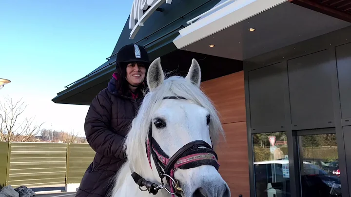 Au Mac Donald's  cheval