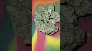 Fish scale strain