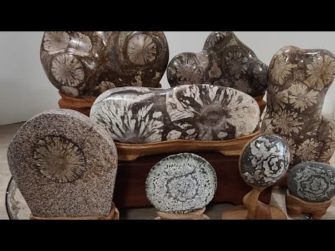 안동하회옥션 청송꽃돌 경매 5/4토 저녁6시30분 - YouTube