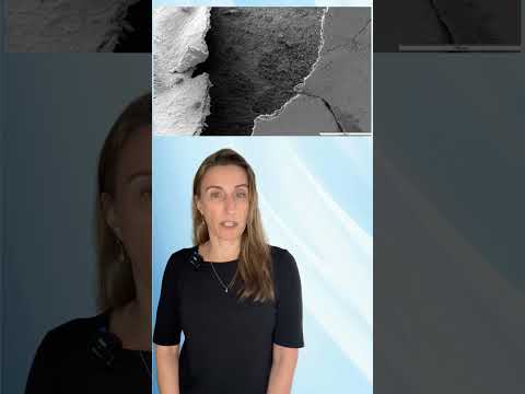 HYBENX® Removes Subgingival Biofilm | HYBENX® élimine le biofilm sous-gingival