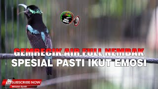 Download Lagu SUARA SEPERTI INI YANG BISA BIKIN EMOSI KONIN LAIN ! PANCINGAN KONIN BIAR GACOR NEMBAK MP3 Download Lagu SUARA SEPERTI INI YANG BISA BIKIN EMOSI KONIN LAIN ! PANCINGAN KONIN BIAR GACOR NEMBAK MP3