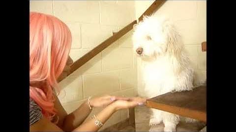 Muñeca dando la mano