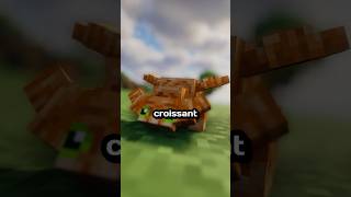 J'ai ajouter des dragons croissant a minecraft...