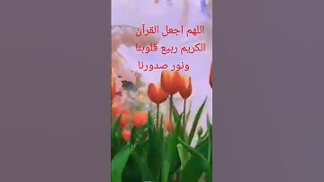 مكناس قران كريم بصوت جميل #أنشر_تؤجر اللهم اجعل القرآن الكريم_ربيع_قلوبنا_ونور_صدورنا#صباح الورد