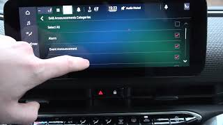 How to Find and Manage Profile Settings in Fiat 500 Electric ( 2020 - now ) - Manage Car Profiles screenshot 5