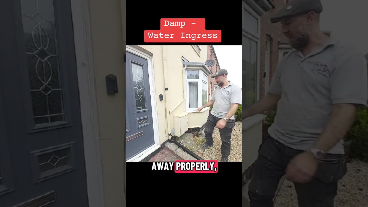 Damp - Water Ingress
