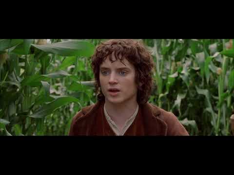 I've watched this Khazad-Dum scene countless times! How can anyone with a  soul hate this series? : r/LOTR_on_Prime