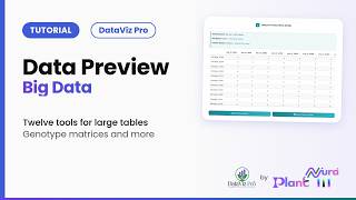 Data Preview · Big Data | DataViz Pro Tutorial