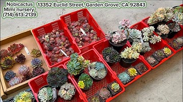 11/09 Deal HOT Black Friday - Giảm giá khủng, miễn phí ship, mua nhanh kẻo hết! Liên hệ 714.613.2139