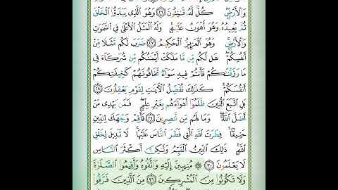 #سورة الروم #الآيات (٣١-٣٢)#تلاوة الشيخ أيمن سويد #قليل دائم خير