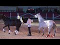 Slyne  jrmy gonzalez  fria du cheval de saintes maries de la mer 16 juillet 2018