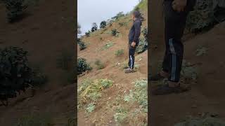 Buhay ng magsasaka sa Paanan ng Mt. Apo | @atablanco-islanderstv