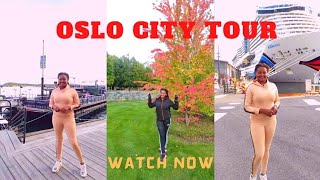 A Week in OSLO // Attending a Kenyans In Norway Barbecue party // Working Out