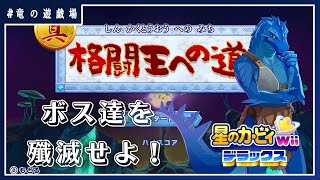 #7【星のカービィWiiデラックス】ボス達を殲滅せよ！【竜の遊技場】