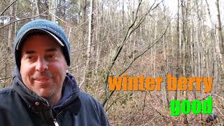 Buckthorn: How to I.D. and How to Control-2019: Short Lane Ag Supply LLC