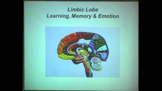 The Neuroscience of Learning and Memory