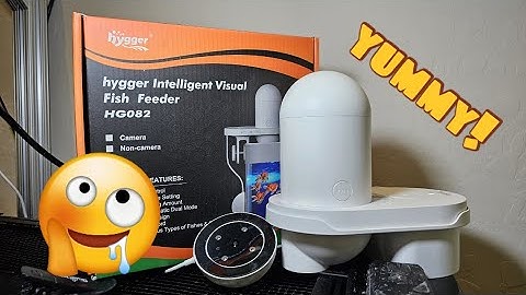 Review: The Fish Feeder With A Camera! | Hygger Automatic Feeder