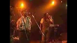 Culture live Wings of a Dove