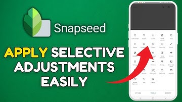 How to Apply Selective Adjustments in Snapseed 2025?