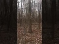 Video 4 Retracing steps of Libby and Abby Monon High Bridge
